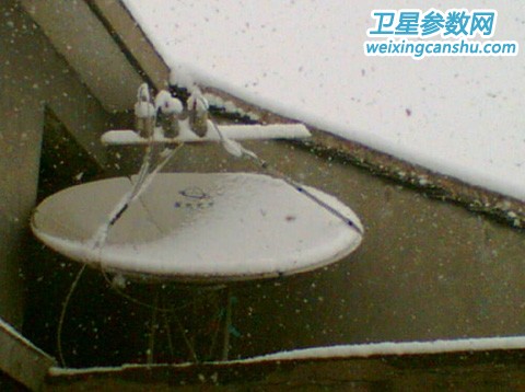 20080126_64c0e3e87f12f74d177fPSLtjazPkwmt.jpg